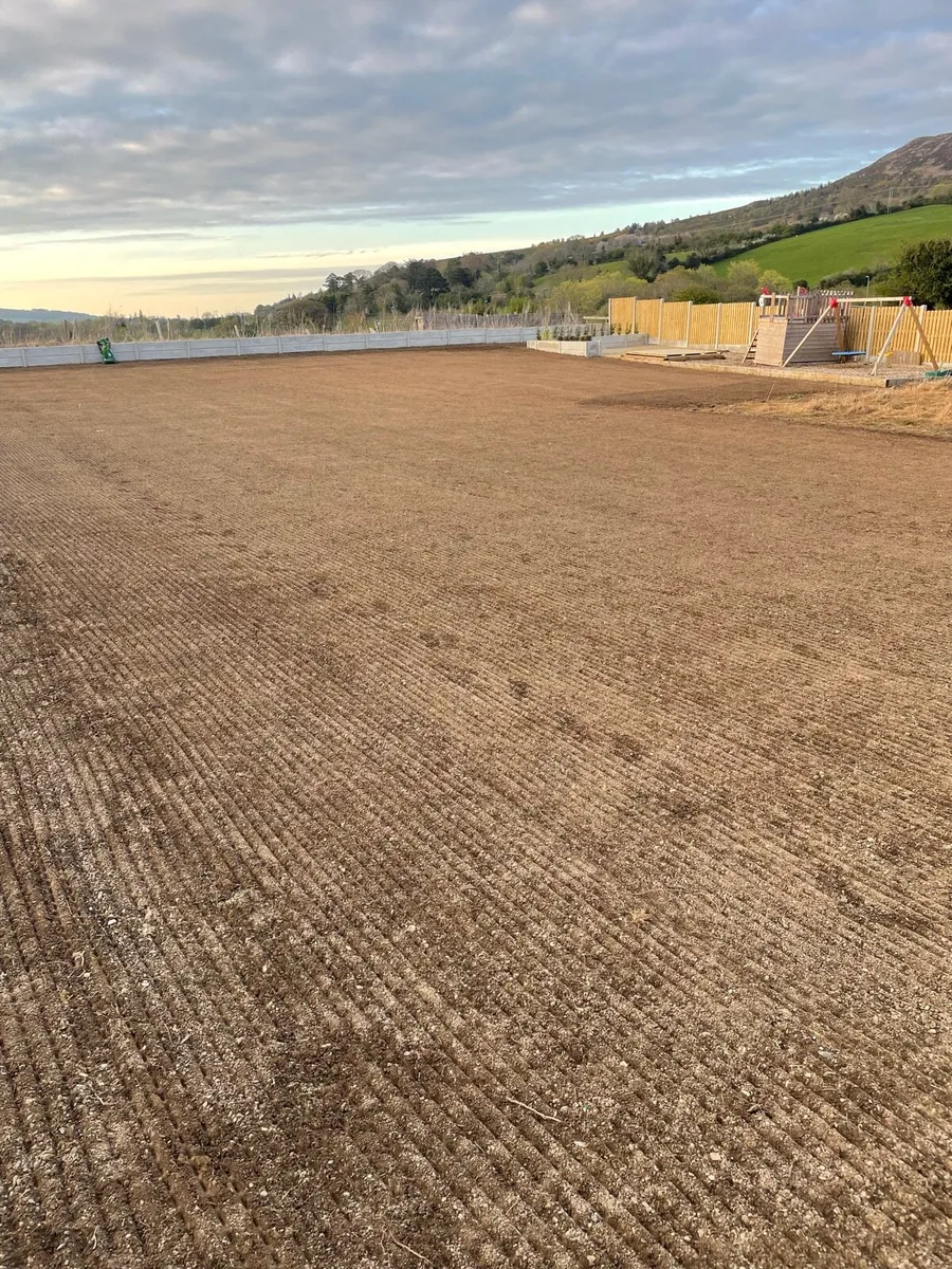 Lawn seeding - Image 1