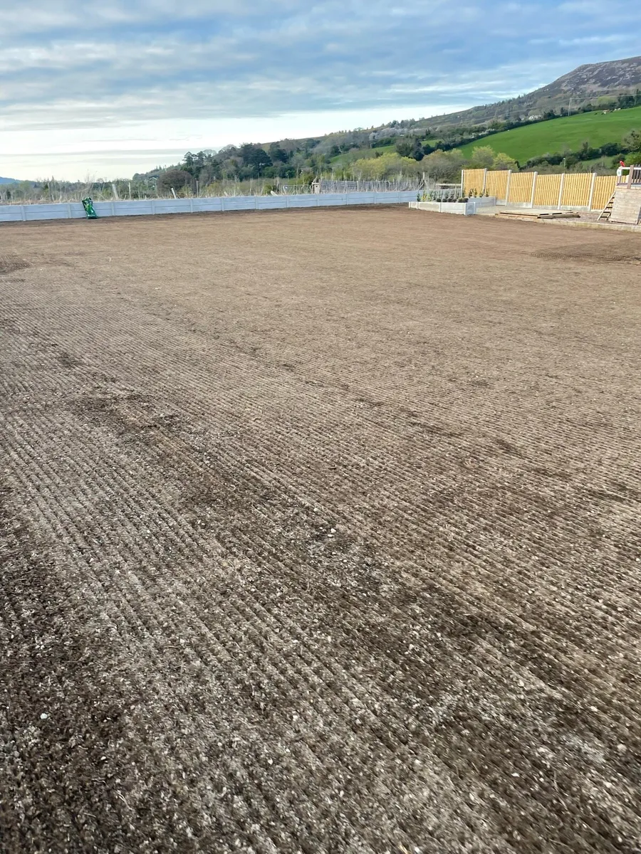 Lawn seeding - Image 2
