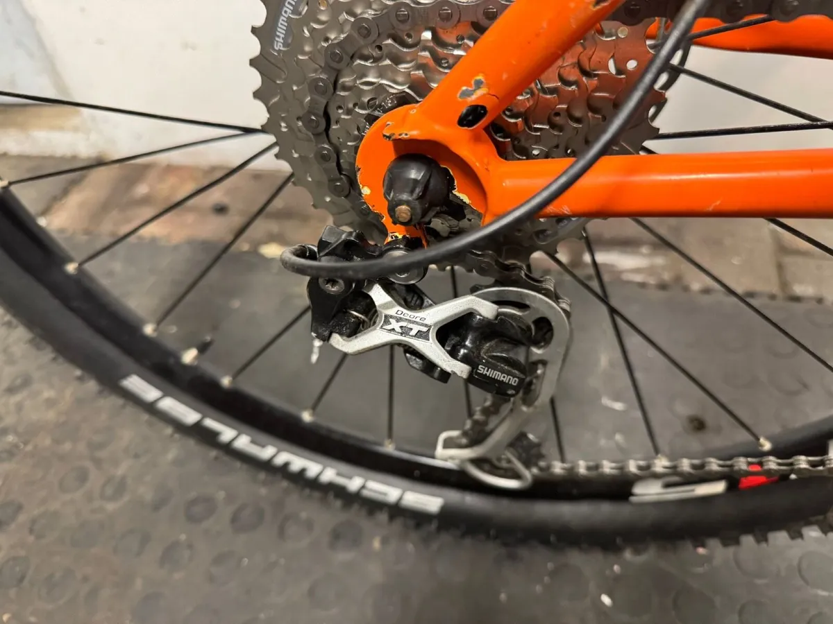 Kona cotic BFE - Image 2