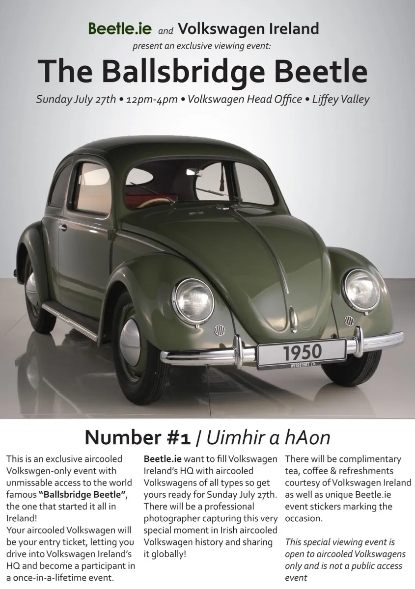 Ballsbridge Beetle - Image 1