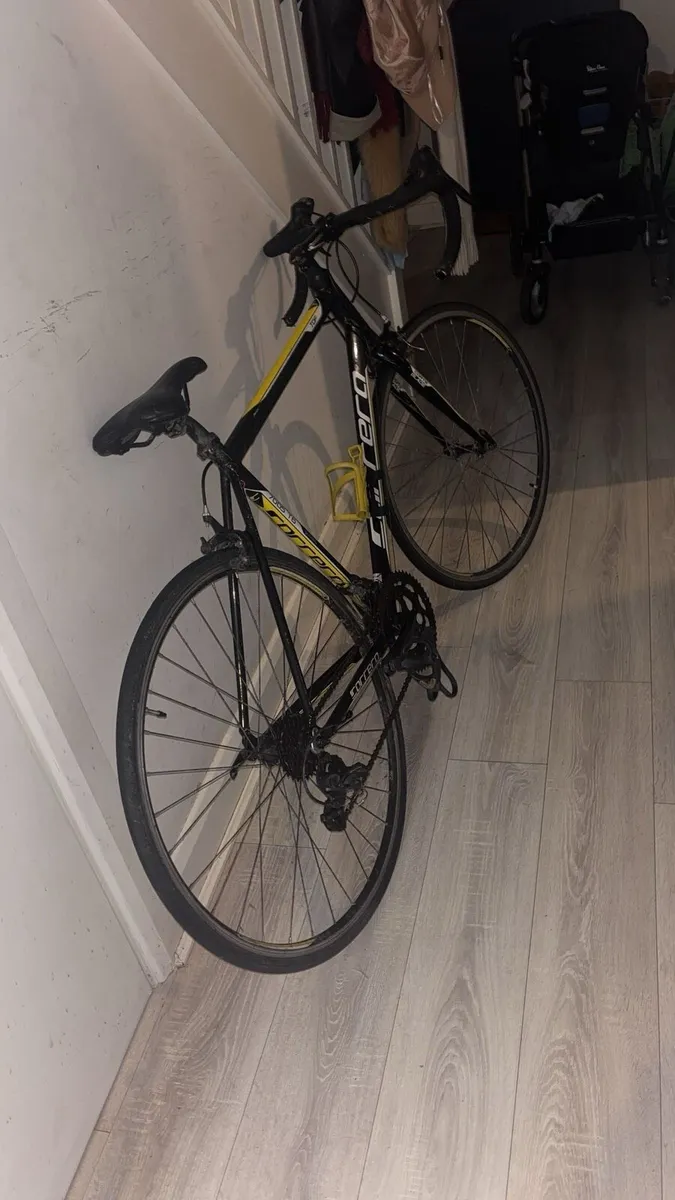 Carrera TDF LTD road bike for sale - Image 1