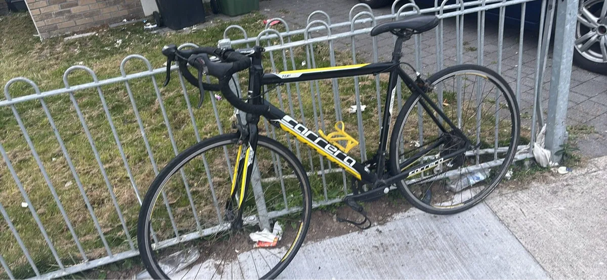 Carrera TDF LTD road bike for sale - Image 2