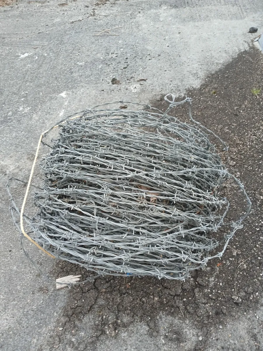 Barbed wire - Image 2