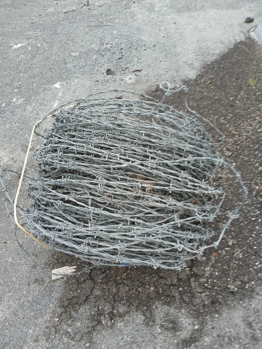Barbed wire - Image 3