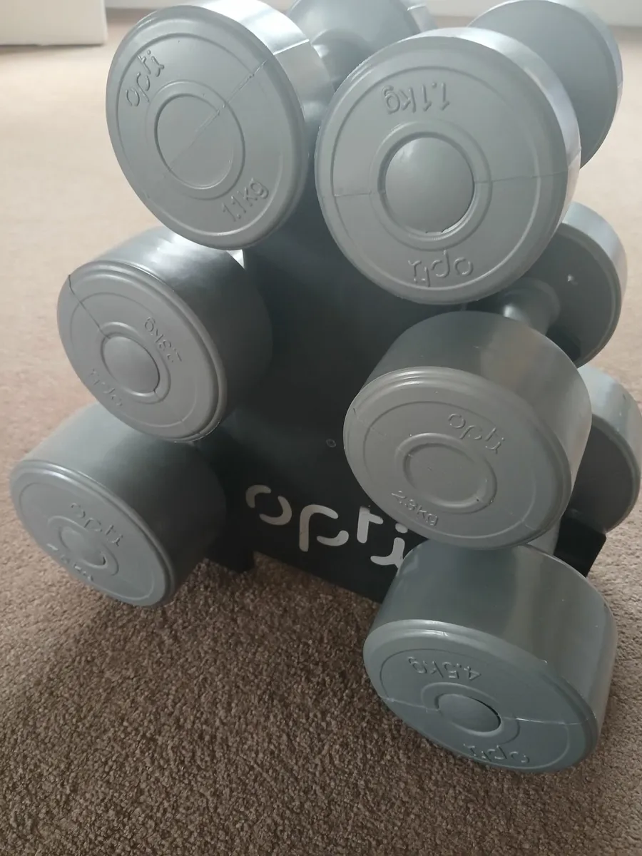 Dumbbells - Image 3