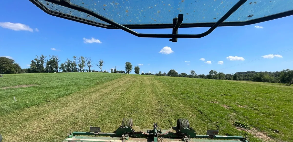 Grass Cutting / Topping Service - Image 3