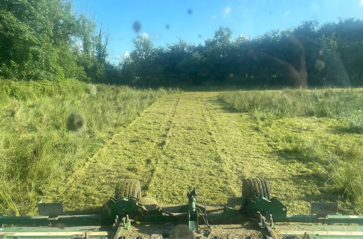 Grass Cutting / Topping Service - Image 1