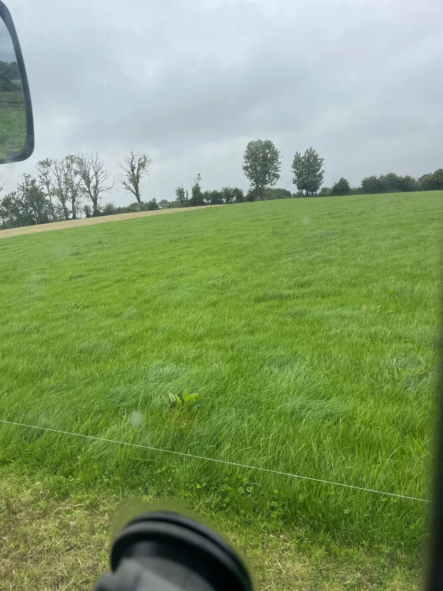 Grass Cutting / Topping Service - Image 4