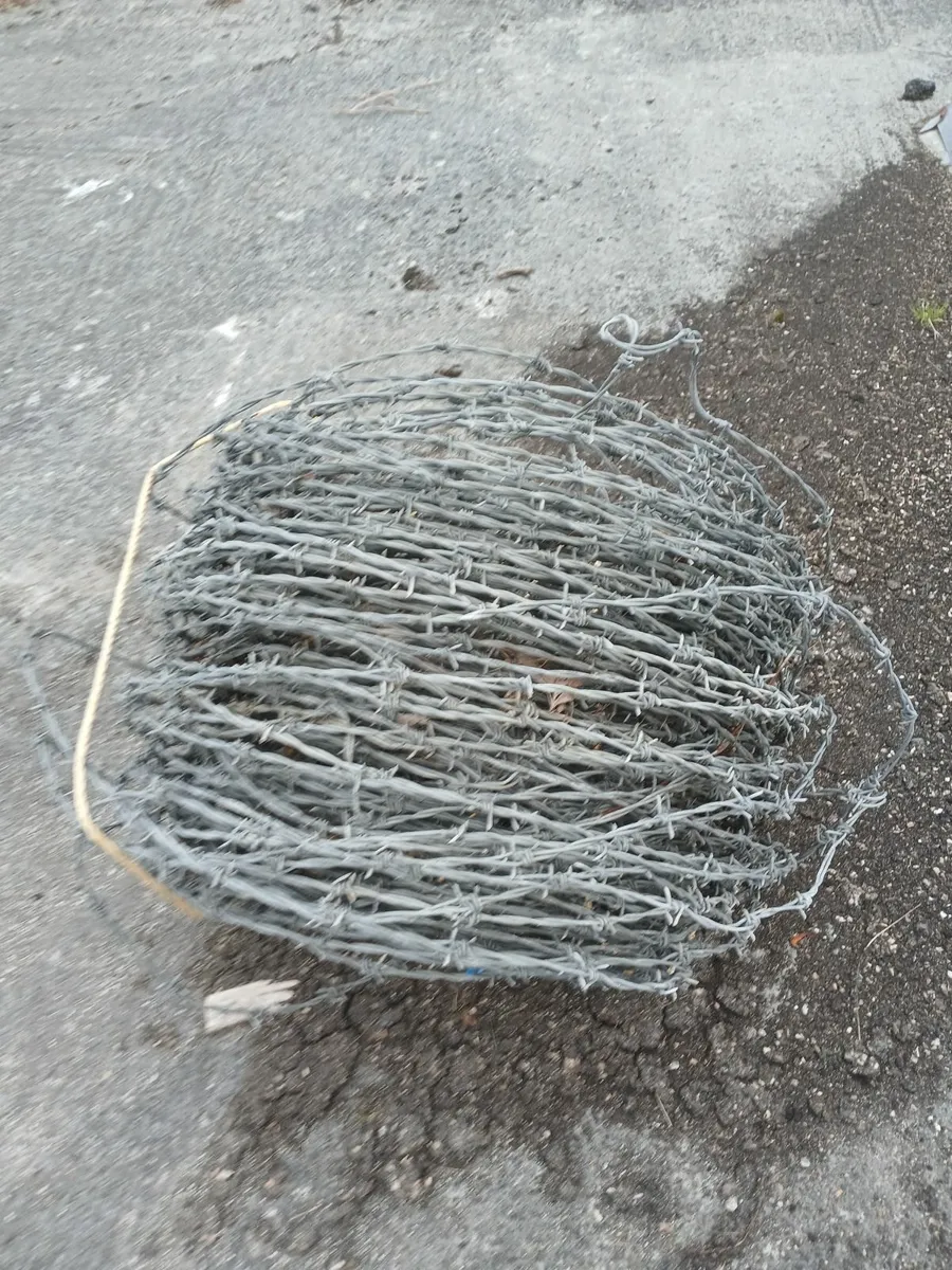 Barbed wire - Image 4