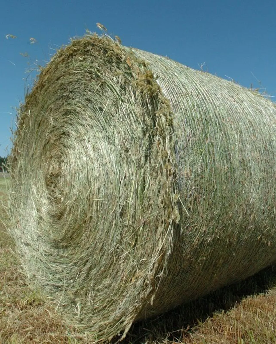 100 Round bales of haylage Tuam area