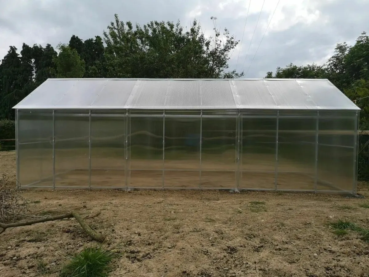 Titan House Polycarbonate Greenhouse - Image 4