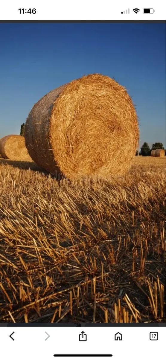 Round straw Bales