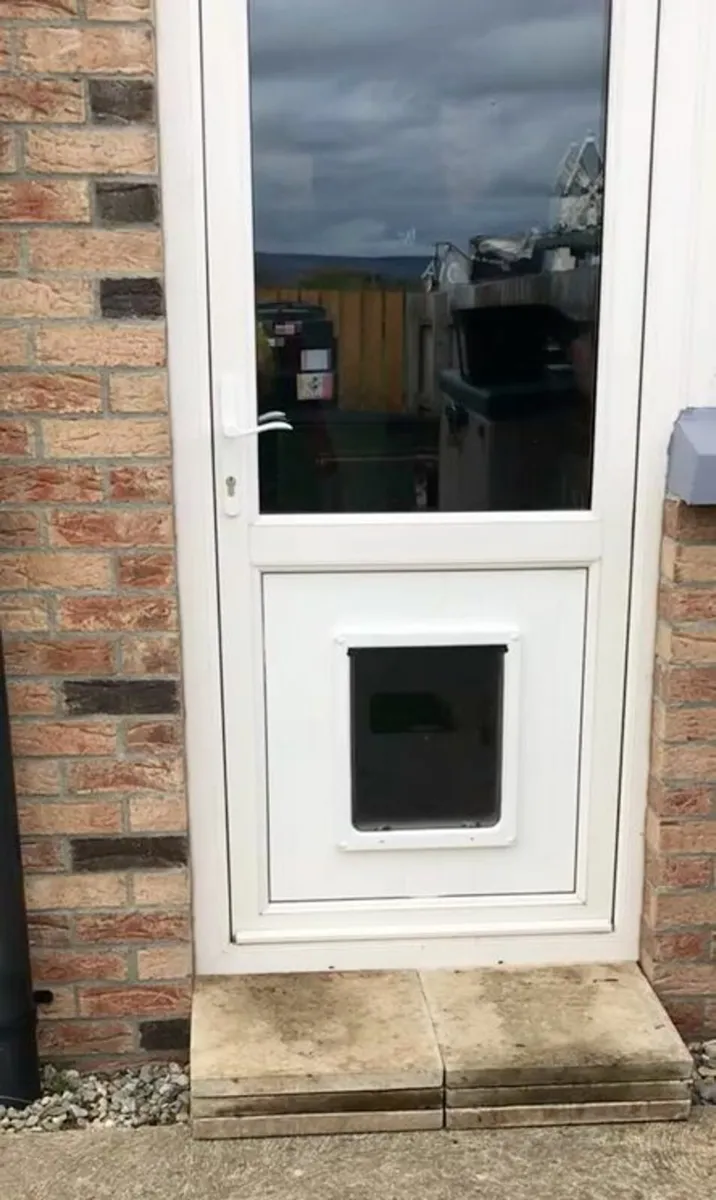🌟 HIGH QUALITY DOOR WITH DOG  / CAT FLAP 🌟