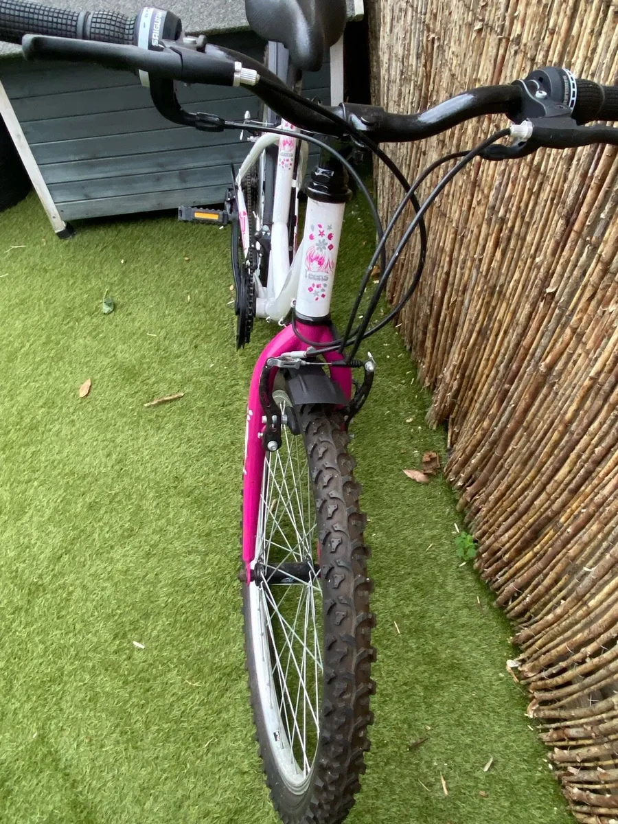 Kids/Teen Bike - Image 3