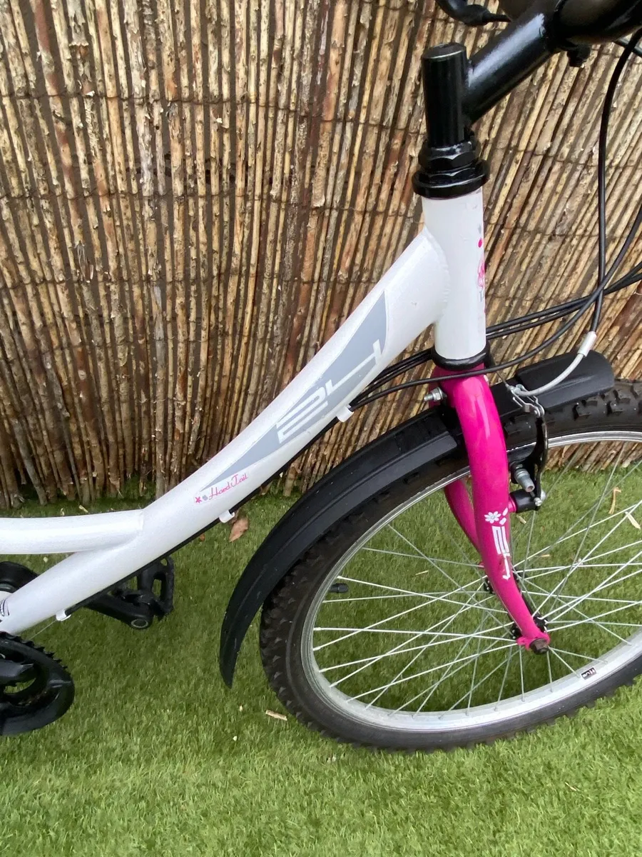 Kids/Teen Bike - Image 4