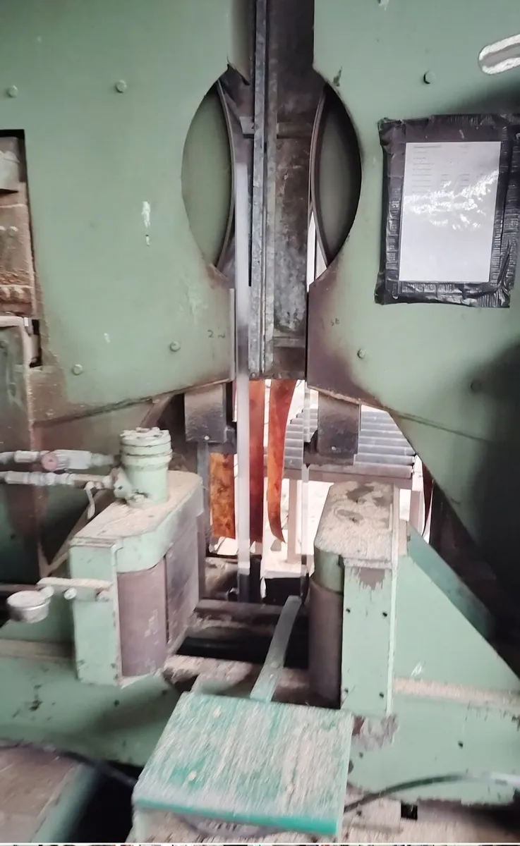 Robinson wadkin twin resaw - Image 1
