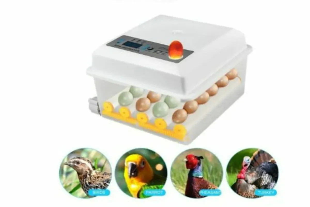 Egg Incubator 16 Automatic with Temp Control - Image 4
