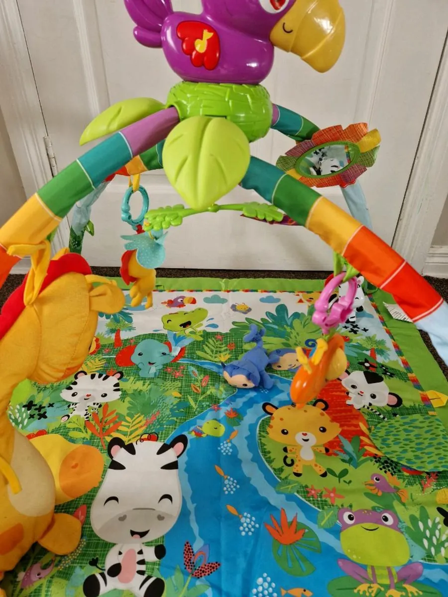 Deluxe Jungle Play Gym for kids - Image 1