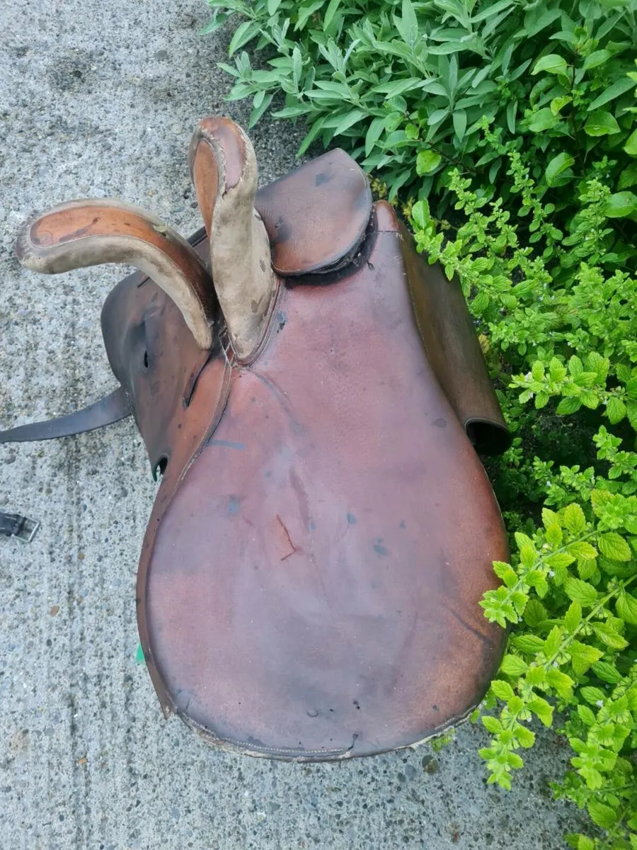 Side saddle - Image 2