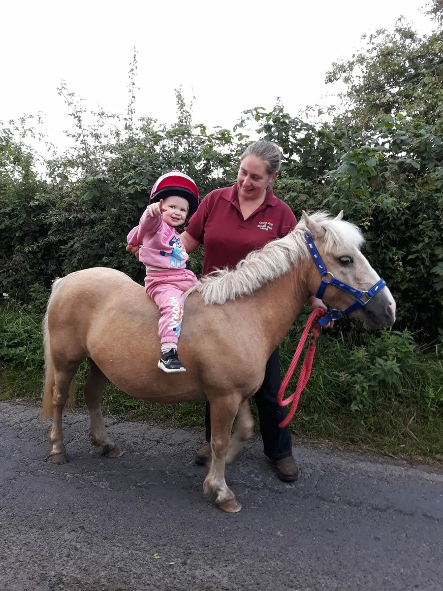Stunning leadrein kids pony - Image 1