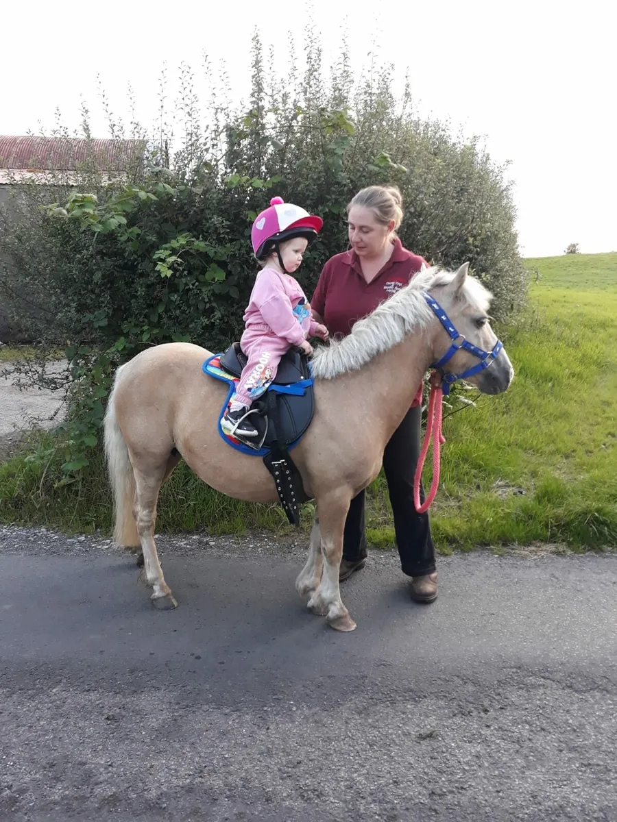 Stunning leadrein kids pony - Image 2
