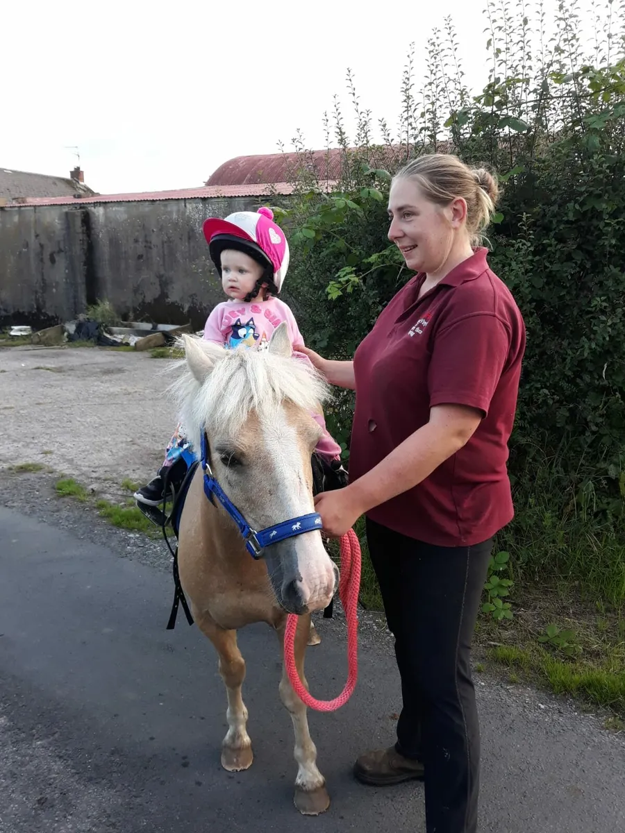 Stunning leadrein kids pony - Image 4