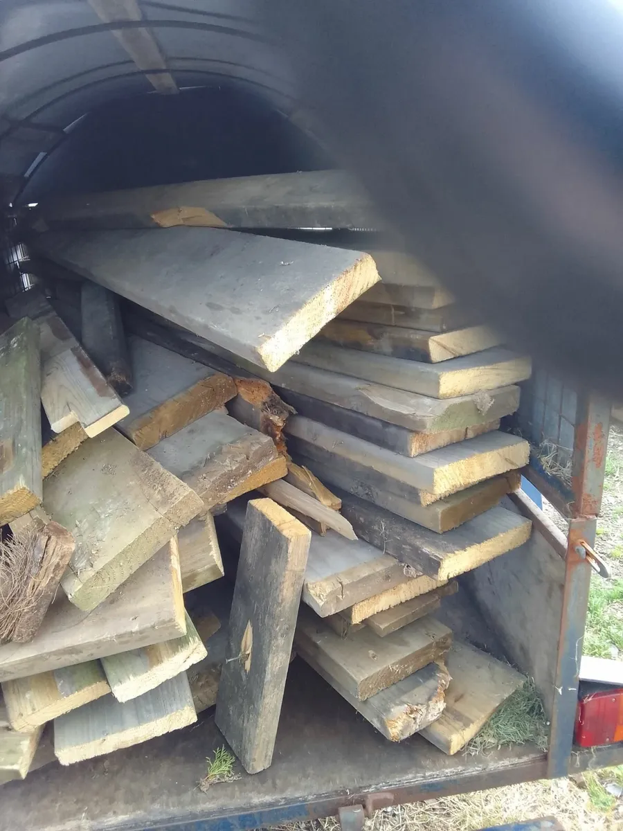 Timber Bordes - Image 2