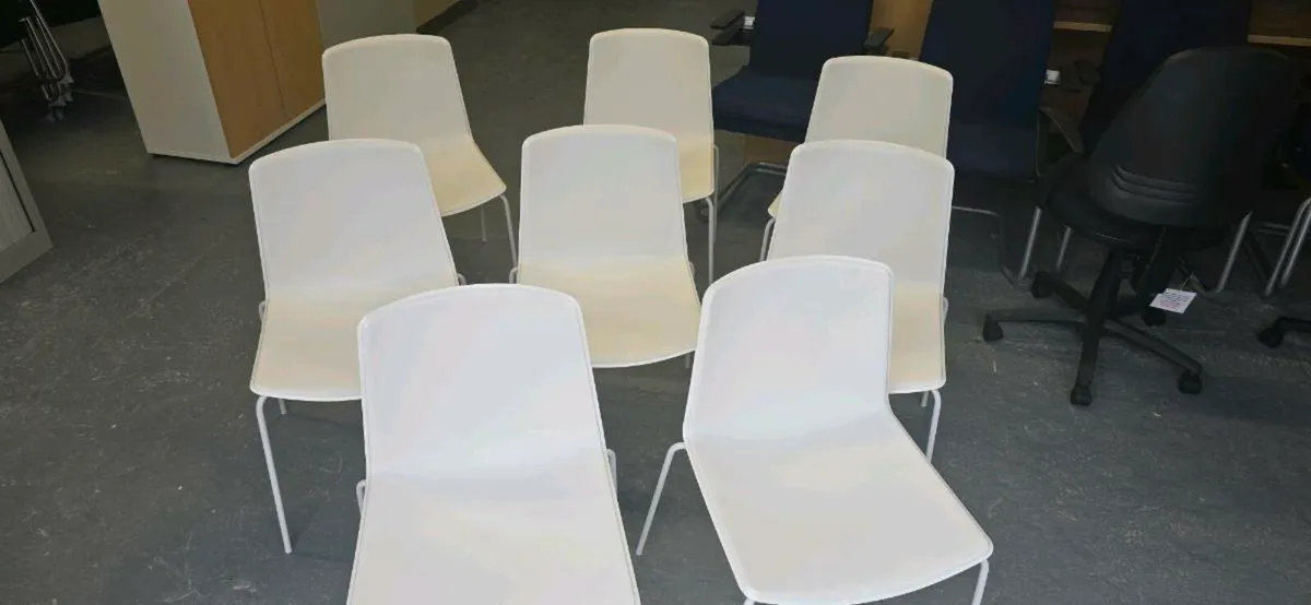 Pedrali canteen chairs x 8 - Image 1
