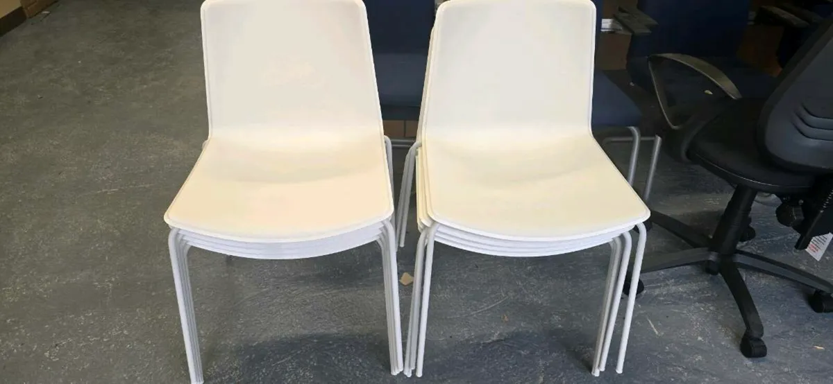 Pedrali canteen chairs x 8 - Image 2