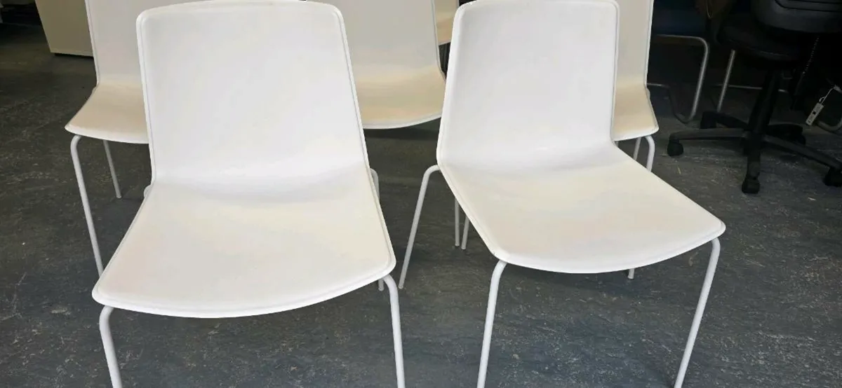Pedrali canteen chairs x 8 - Image 3