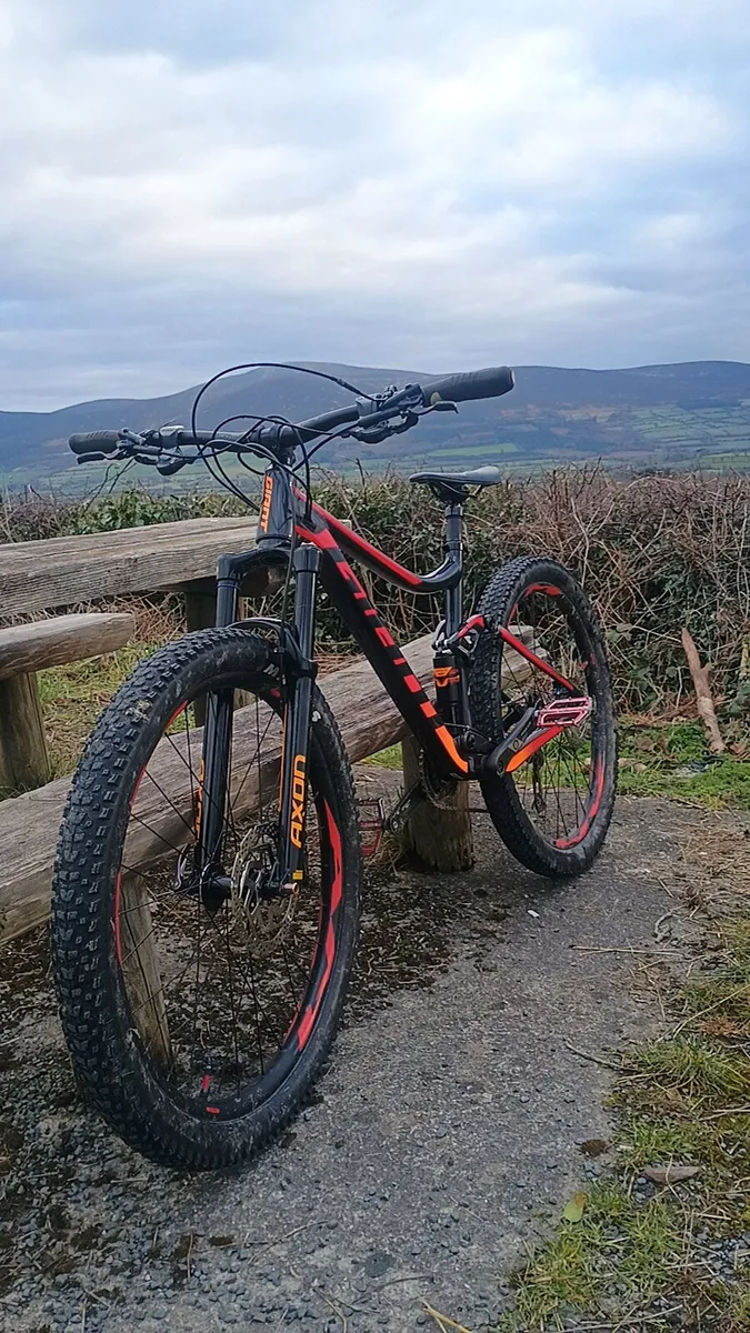 Mountain Bike - Image 1