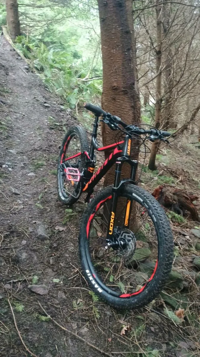 Mountain Bike - Image 2
