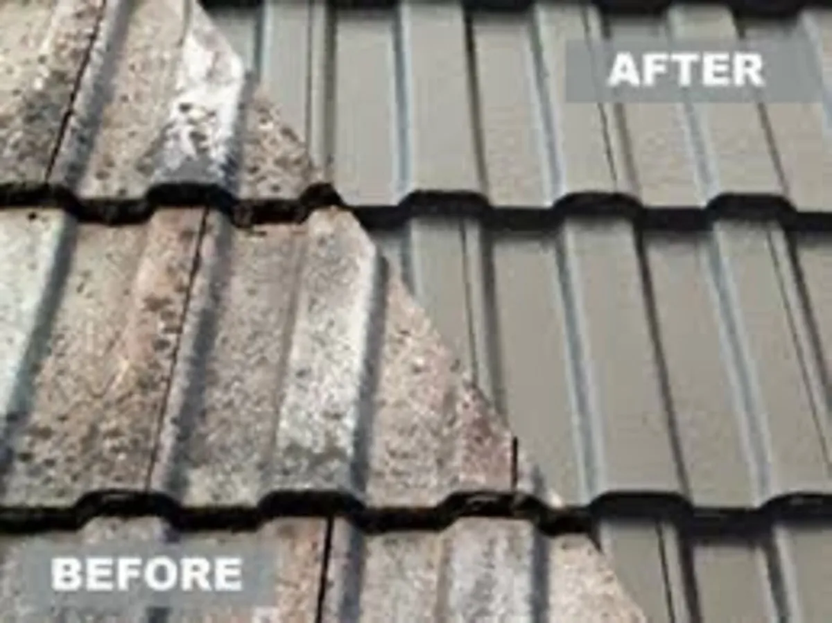 Roof/driveway paint - Image 1
