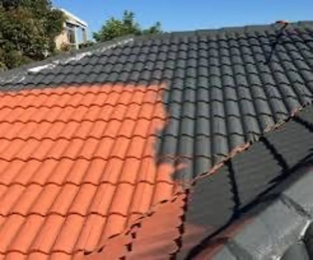 Roof/driveway paint - Image 3