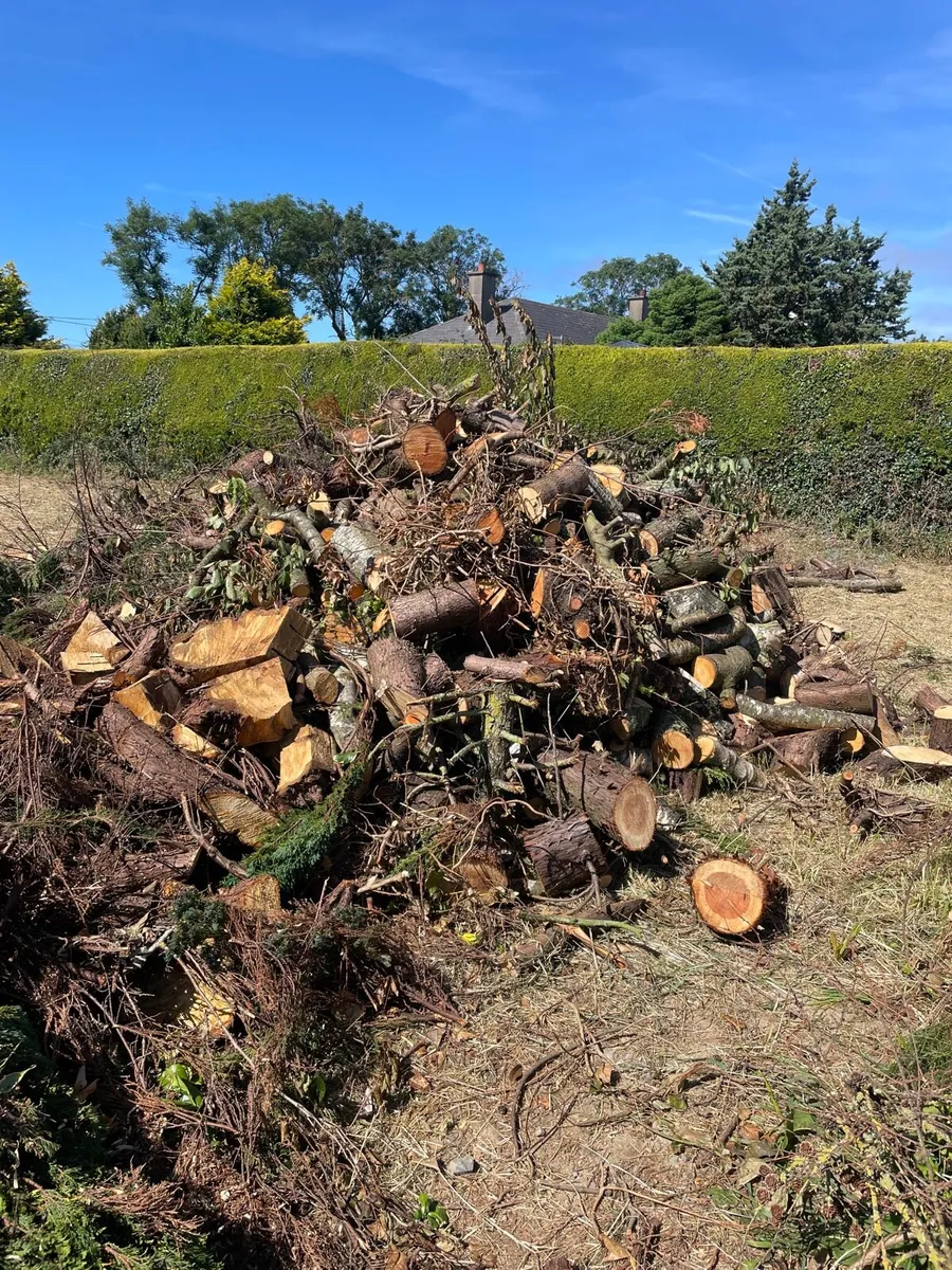 Fire wood - Image 1