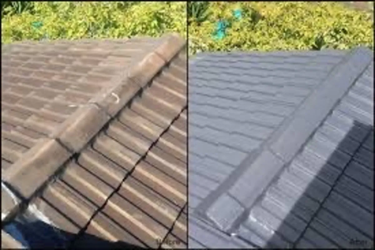 Roof/driveway paint - Image 2