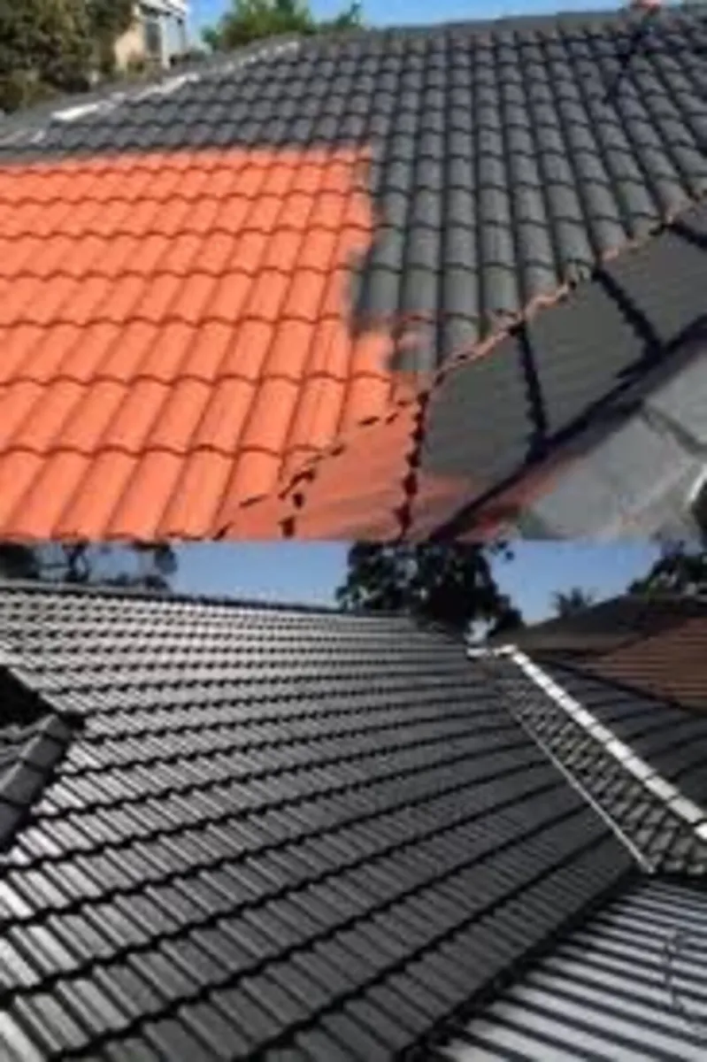 Roof/driveway paint - Image 3