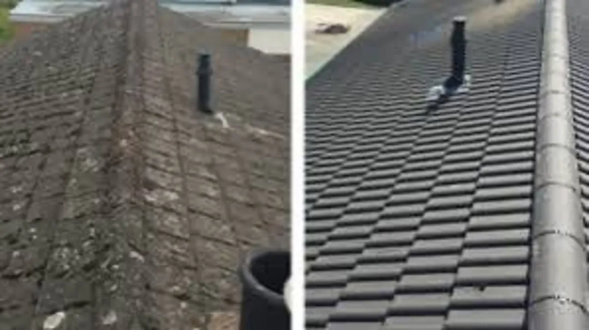 Roof/driveway paint - Image 1