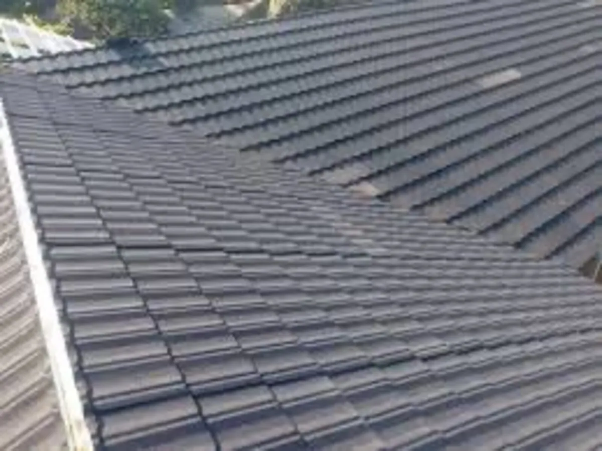 Roof/driveway paint - Image 3