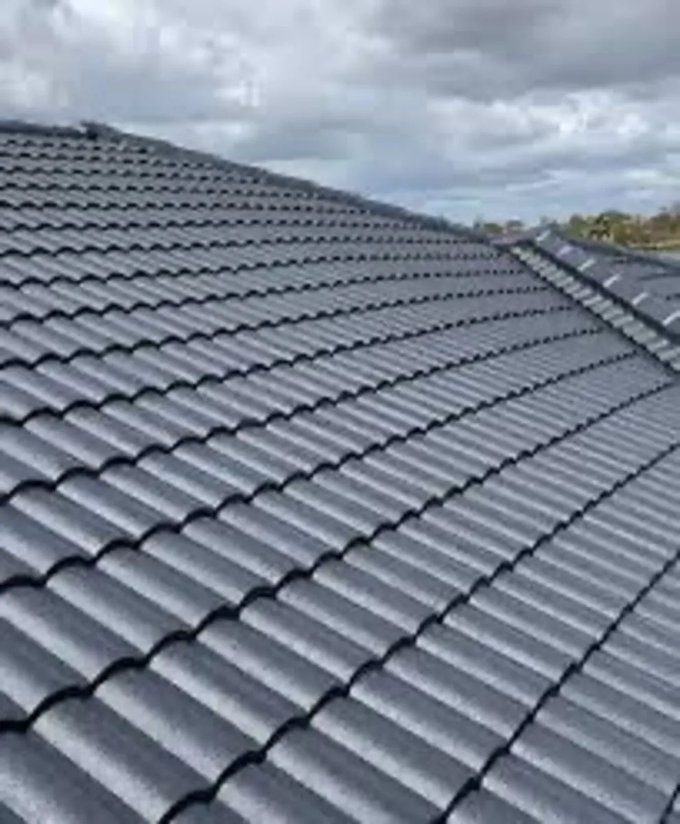 Roof/driveway paint - Image 4