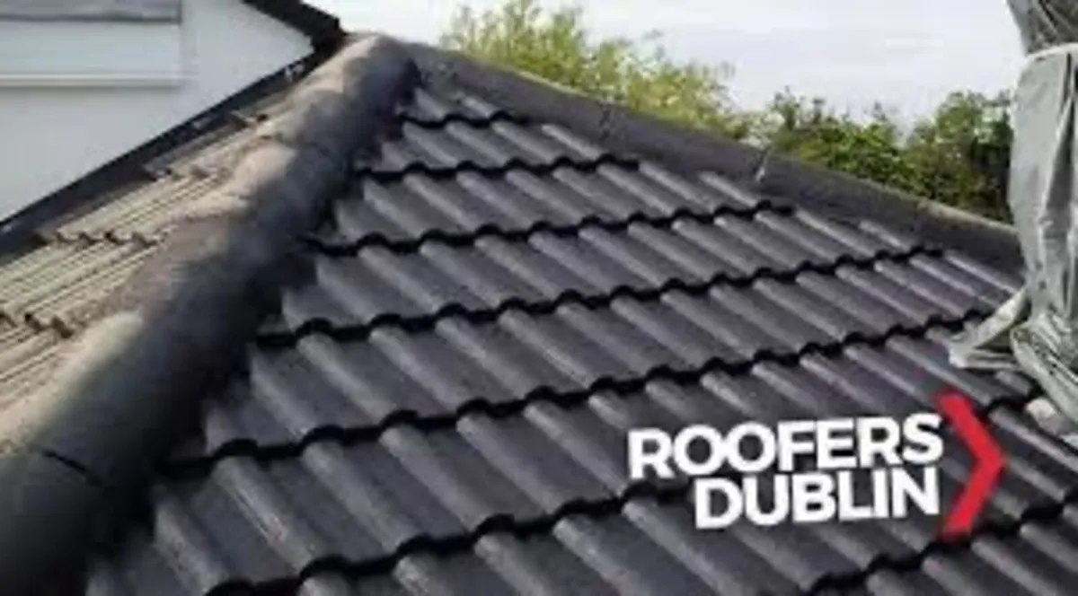 Roof/driveway paint - Image 3