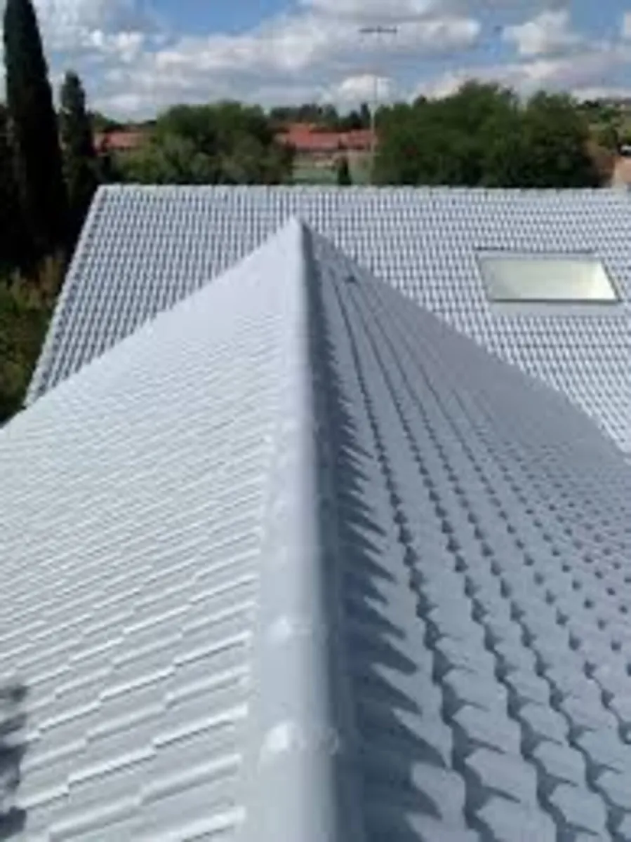 Roof/driveway paint - Image 4