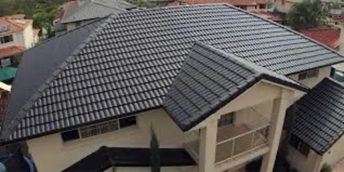 Roof/driveway paint - Image 1