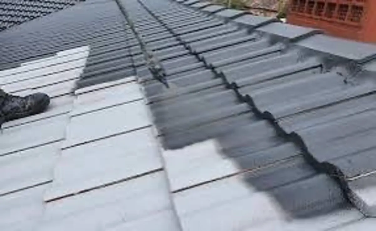 Roof/driveway paint - Image 4