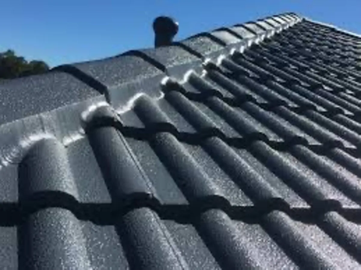Roof/driveway paint - Image 1