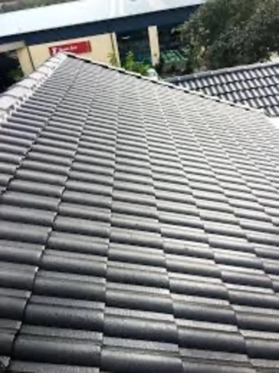 Roof/driveway paint - Image 2