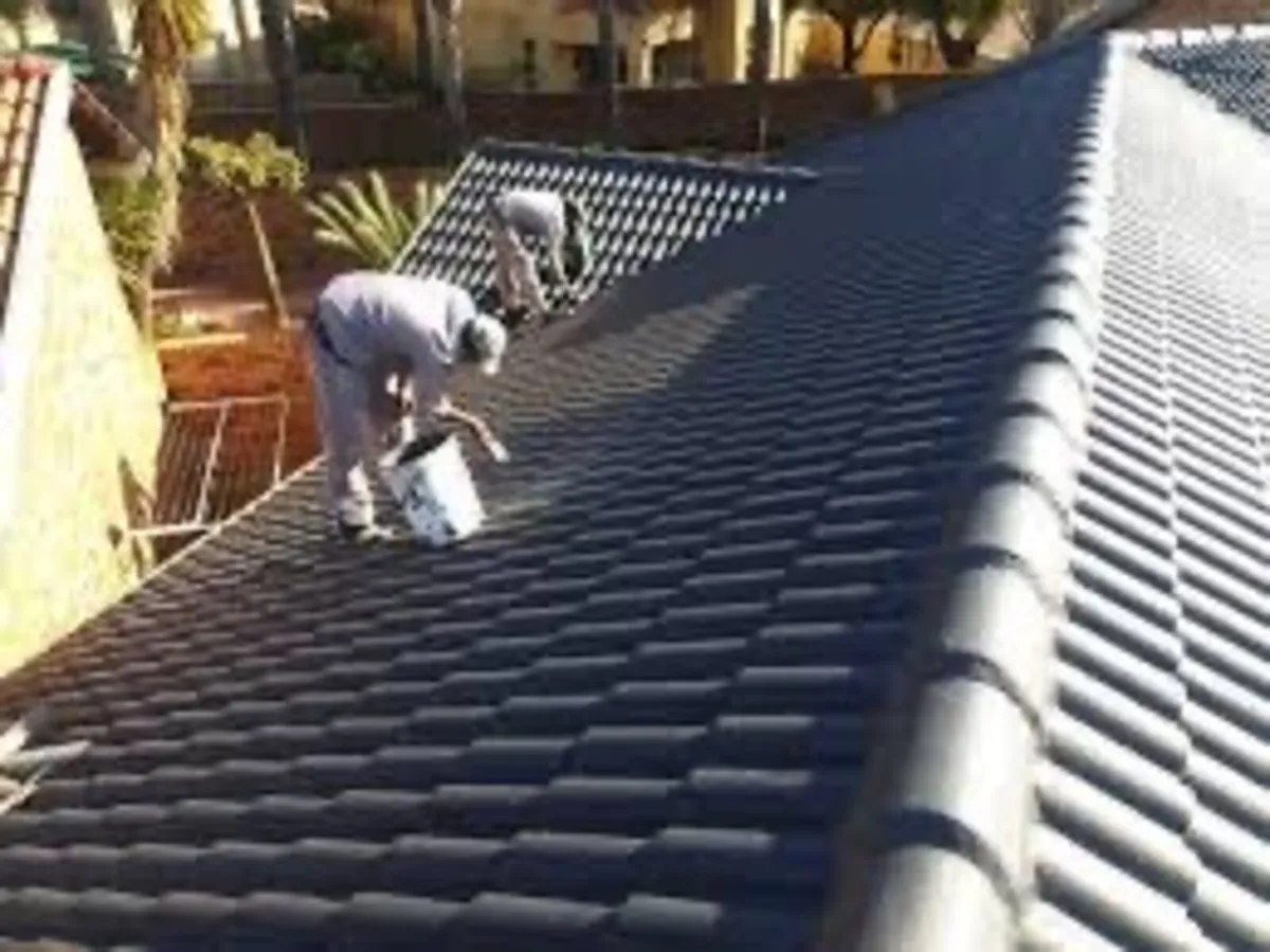 Roof/driveway paint - Image 3