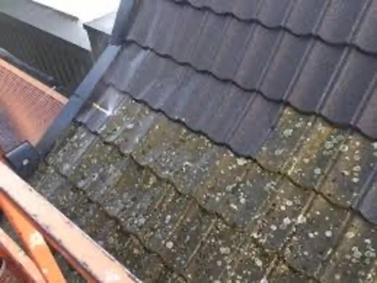 Roof/driveway paint - Image 1
