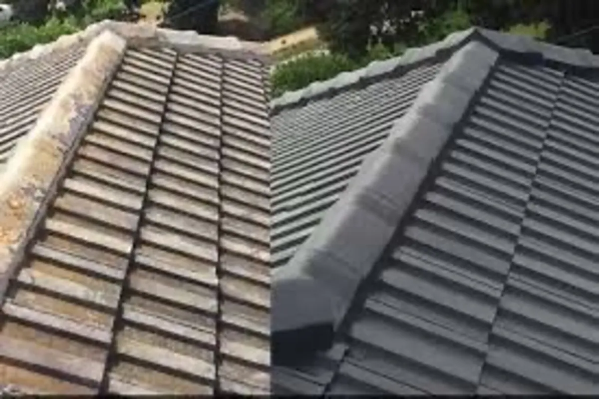 Roof/driveway paint - Image 2