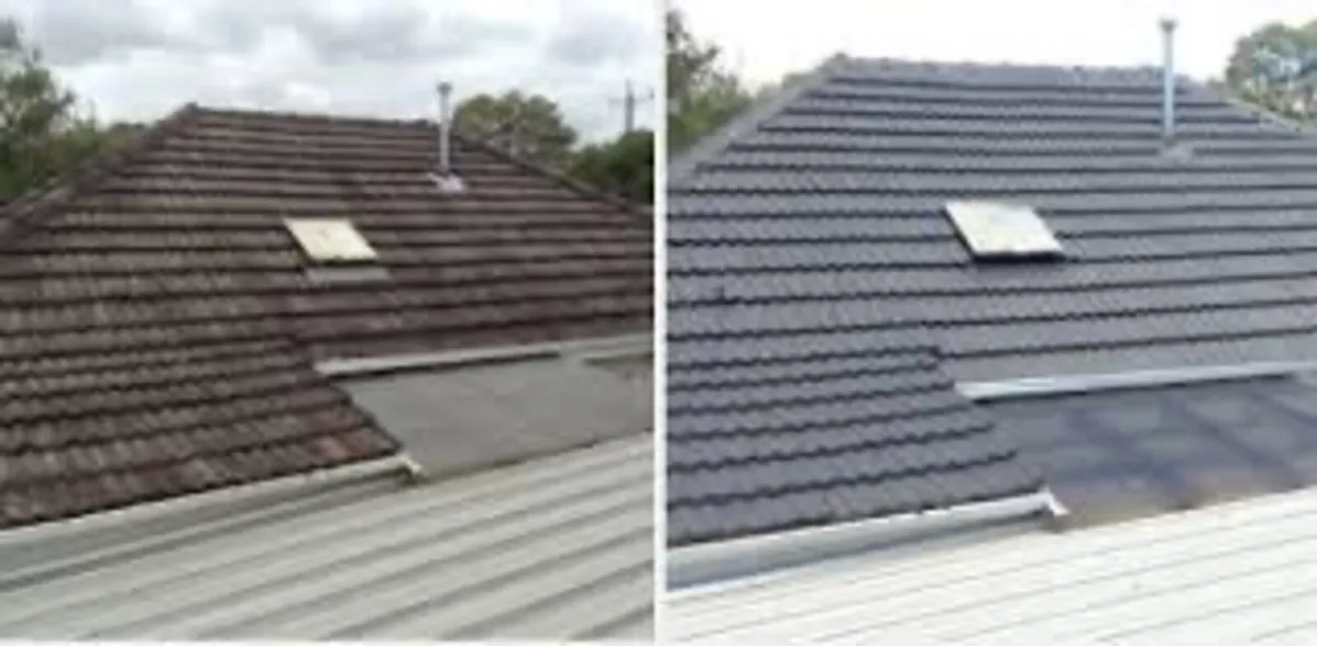 Roof/driveway paint - Image 3